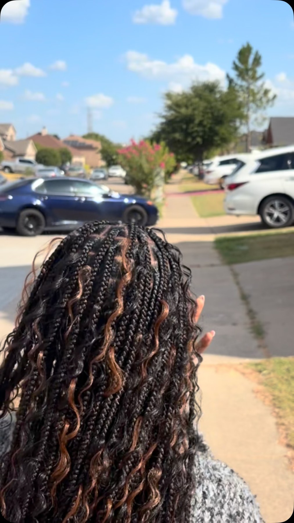 Smedium knotless braids in color 4/30